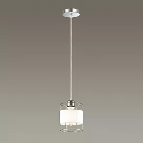 Подвесной светильник Lumion Kayden 3665/1