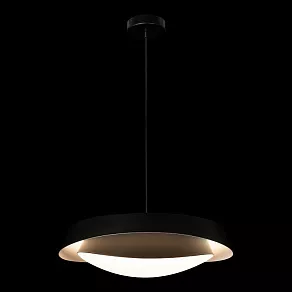Подвесной светильник Loft it Petale 10256P Black