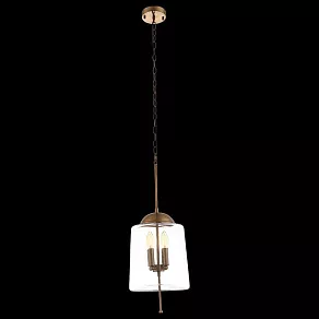 Подвесной светильник ST-Luce Delevaso SL367.203.04