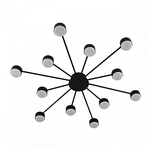 Потолочная люстра Lumion TORINA 8344/12C