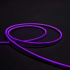 Шнур световой Eleganz  EL-N24-96PR