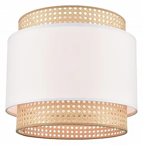 Накладной светильник Velante 565 565-717-01