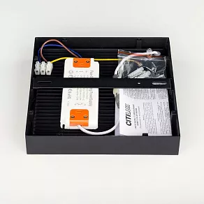 Накладной светильник Citilux Тао CL712K242