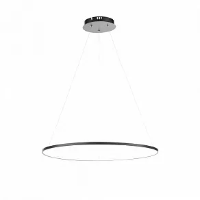 Подвесной светильник ST-Luce Erto SL904.413.01