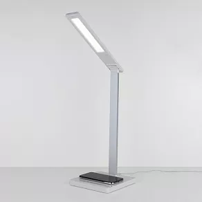 Настольная лампа офисная Elektrostandard TL90510 a039563