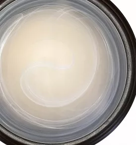 Накладной светильник TopLight Rebecca TL1129-1Y