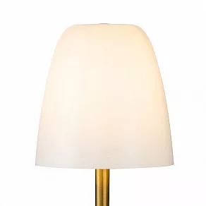 Настольная лампа декоративная Favourite Seta 2961-1T