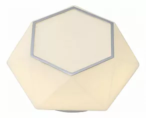Накладной светильник ST-Luce 558 SL558.502.01