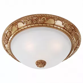 Накладной светильник Favourite Plafond 1447-3C
