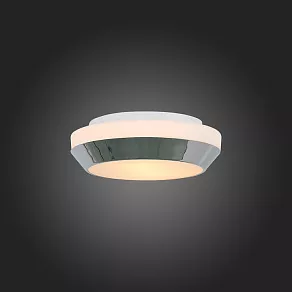 Накладной светильник ST-Luce Bagno SL469.502.02