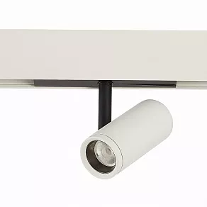 Светильник на штанге ST-Luce ST808 ST808.546.08