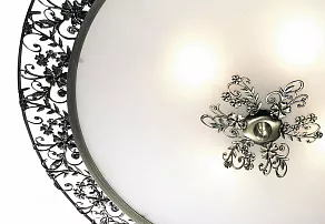 Накладной светильник Odeon Light Balasa 2726/4C