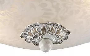Накладной светильник Odeon Light Bone 2692/2C