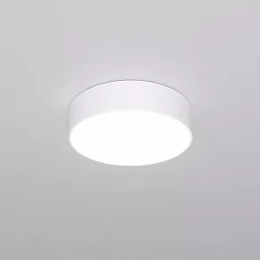 Накладной светильник Eurosvet Entire 90318/1 белый