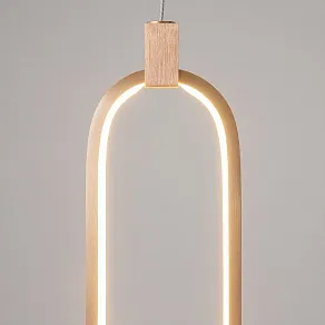 Подвесной светильник Maytoni Chain MOD017PL-L13G