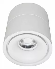 Накладной светильник LUMINA DECO Westos LDC 8056-12W WT