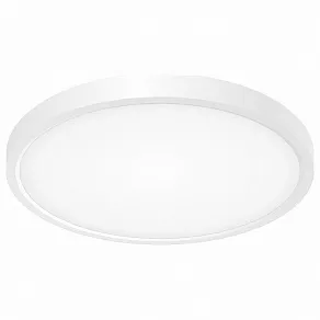 Накладной светильник Citilux Бейсик CL738240V