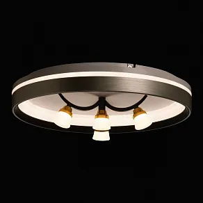 Потолочная люстра De City Норден 660014901