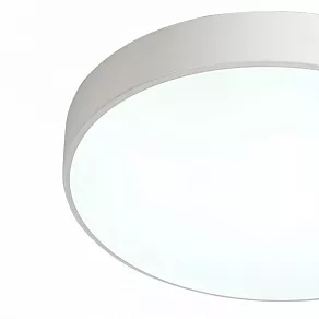 Накладной светильник Zortes Tortty ZRS.02564.48