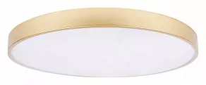 Накладной светильник Loft it Flims 10228/B