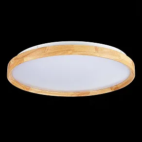 Накладной светильник EVOLUCE DELIA SLE201382-01