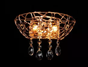 Накладной светильник Abrasax Irma B9119/2GO