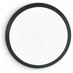 Накладной светильник Ideal Lux Gemma GEMMA PL D40 NERO