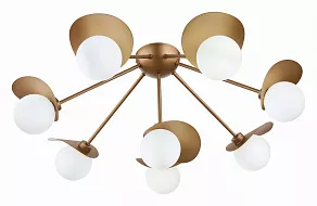 Потолочная люстра EVOLUCE Bolzano SLE220502-08