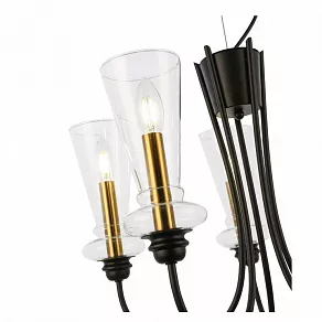 Подвесная люстра EVOLUCE Rammo SLE112403-05