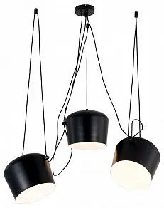 Подвесная люстра EVOLUCE TRIESTE SLE120643-03.1