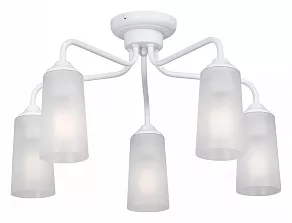 Потолочная люстра Vitaluce V4978 V4978-0/5PL