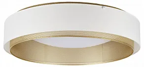 Накладной светильник MyFar Anders MR2371-1CL