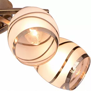 Потолочная люстра TopLight Polly TL3720X-05AB