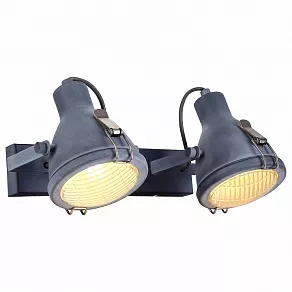 Спот Arte Lamp 9178 A9178AP-2GY