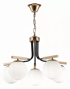 Подвесная люстра EVOLUCE Sonco SLE106803-05
