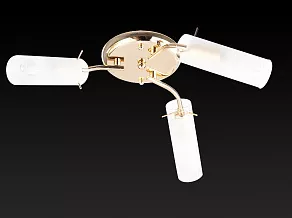 Потолочная люстра TopLight Brittany TL7130X-03FG