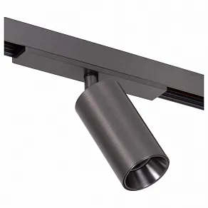 Светильник на штанге Lucide Linial 55901/08/08