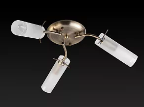 Потолочная люстра TopLight Brittany TL7130X-03AB