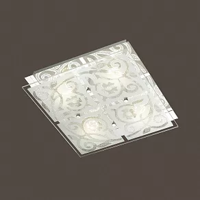 Накладной светильник Odeon Light Grace 4058/20CL