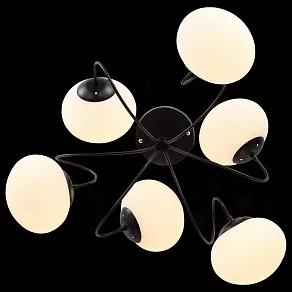 Люстра на штанге EVOLUCE Acini SL717.402.06