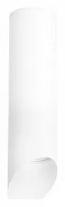 Накладной светильник Lightstar Rullo R649686