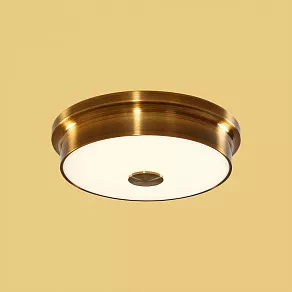 Накладной светильник Citilux Фостер-2 CL706222