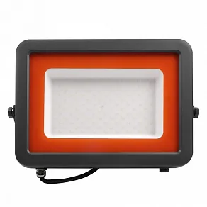 Настенно-потолочный прожектор Jazzway  PFL-S2 100w 6500K IP65