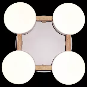 Накладной светильник Natali Kovaltseva 2132 LED LAMPS 81325