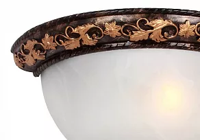 Накладной светильник Favourite Plafond 1445-1W