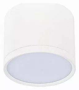 Накладной светильник ST-Luce Rene ST113.542.09