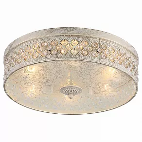 Накладной светильник ST-Luce SL240 SL240.502.06