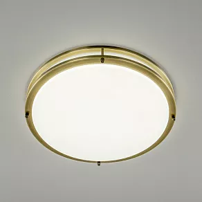 Накладной светильник Citilux Бостон CL709503N