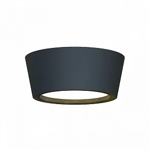 Накладной светильник Favourite Fantum 4675-1U
