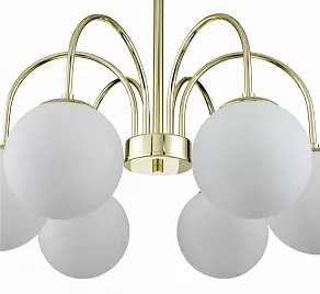 Люстра на штанге Indigo Classic 13017/6R Gold